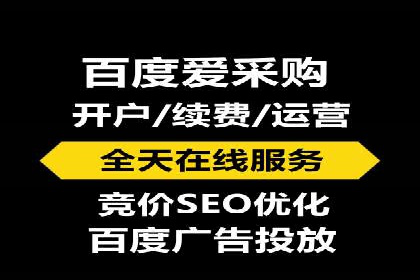 某行业巨头背后的SEM代运营服务公司